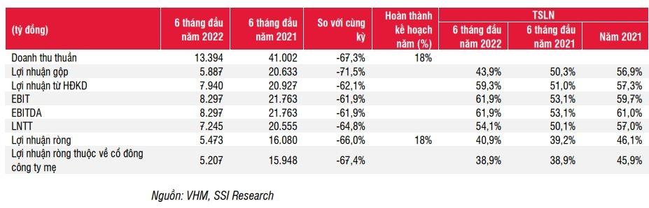 ssi-research-hon-80-doanh-thu-va-loi-nhuan-cua-vinhomes-se-roi-vao-6-thang-cuoi-nam-20221017145111-8621.jpg