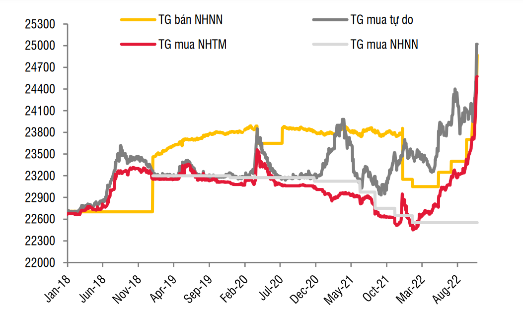 vnd-mat-gia-86-mot-so-doanh-nghiep-van-co-the-huong-loi-lon-20221028083154-3487.png