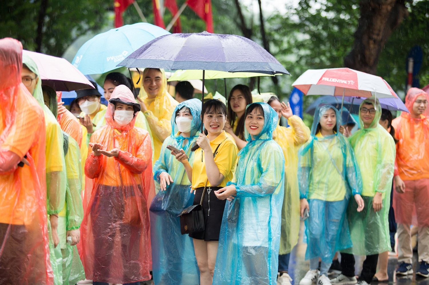 23d4bea6278a064ab7b6d404c88a1bb4.jpg?rt=20221003150653