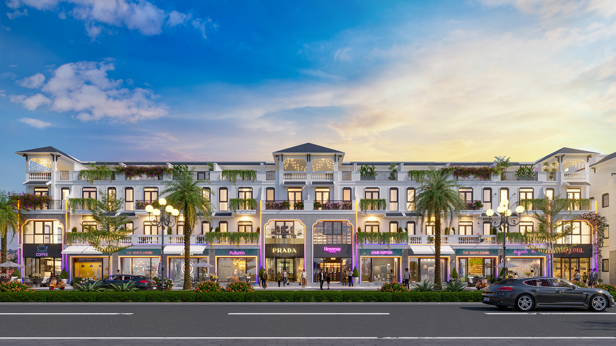 shophouse-tai-long-an-tiem-nang-tang-gia-tua-vang-muoi-20221005145056-4184.png