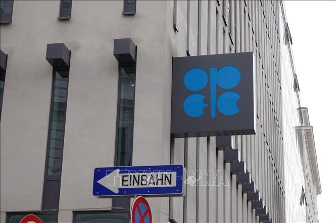 opec61022-4656.jpg
