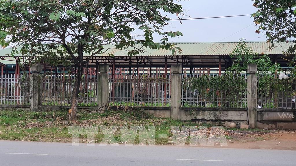 085940-vinh-phuc-cho-khai-quang-tro-thanh-noi-hoang-hoa-9376.jpg