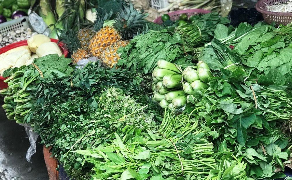 3257-rau-xanh-1-3451.jpg