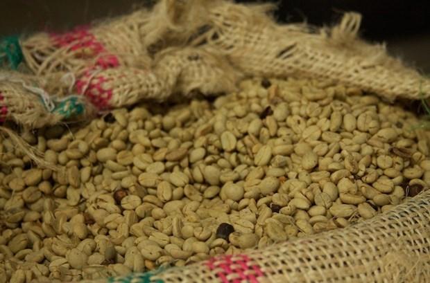2102-colombian-coffee-6985.jpg