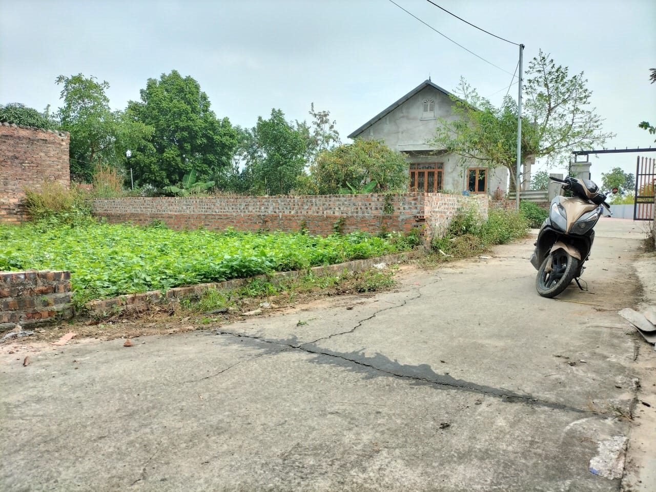 dong-anh-3-2637.jpg