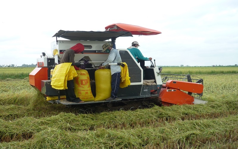 an-do-tiep-tuc-han-che-xuat-khau-gao-trang-xuat-khau-gao-viet-nam-chiu-tac-dong-gi-20221224162030-9832.jpg