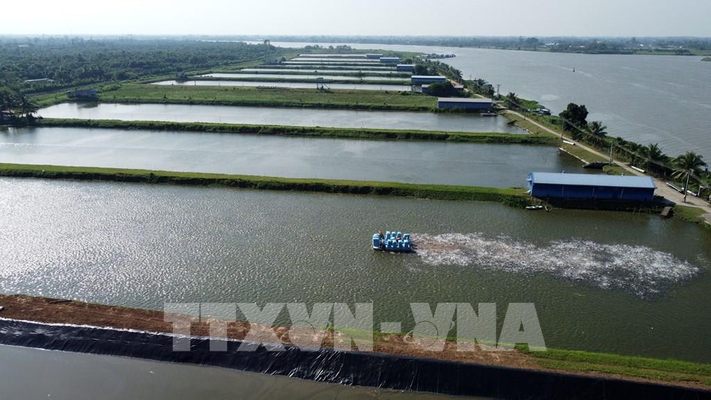 104351-dong-thap-dien-tich-luy-ke-nuoi-ca-tra-uoc-dat-2-450-ha-2580.jpg