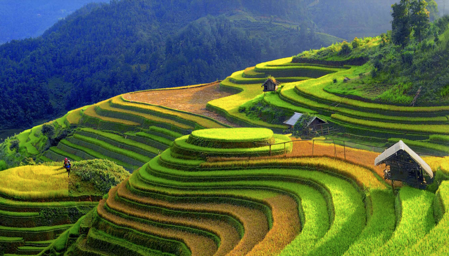 b320221205111023.png?rt=20221205111030