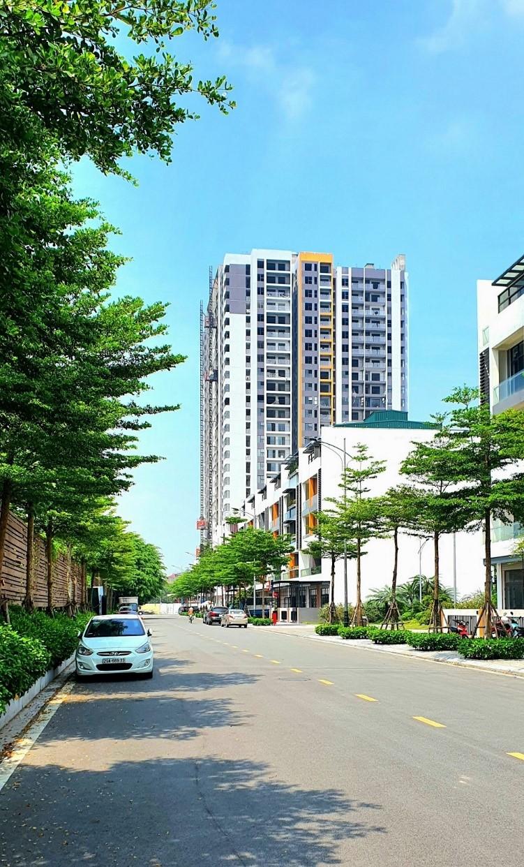anh2-cre-cenland-8709.jpg