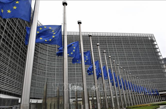 eu13922-6731.jpg