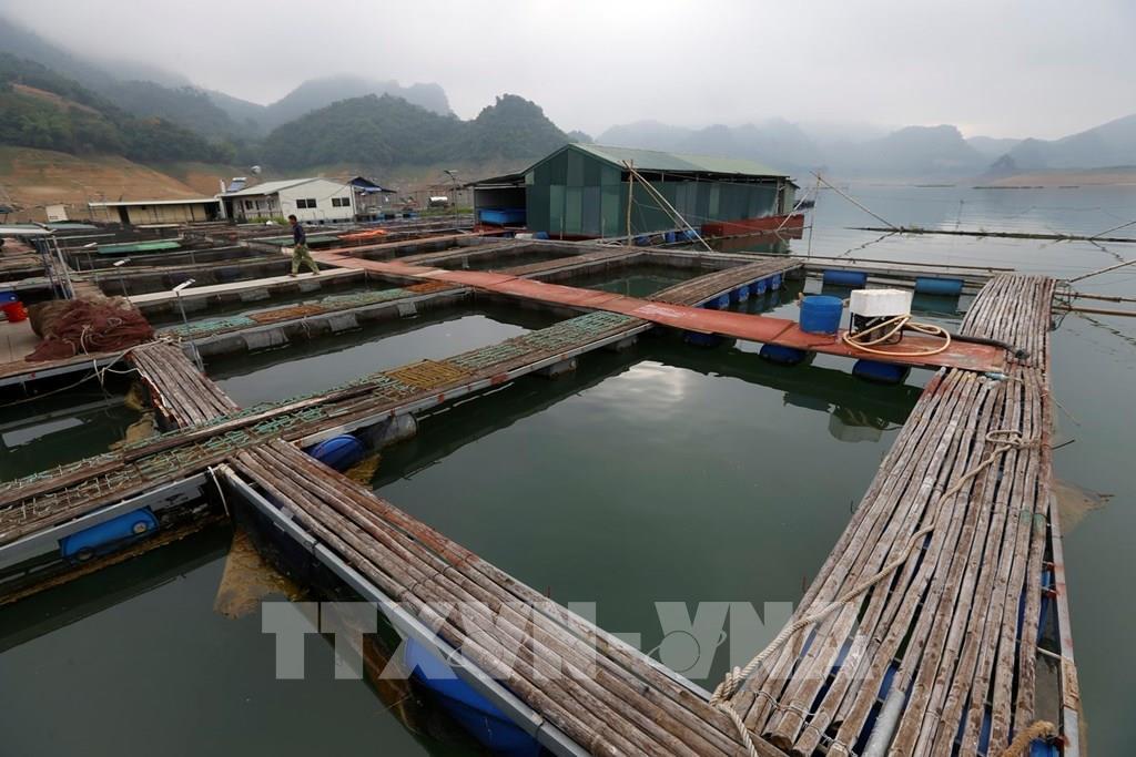 103151-hoa-binh-phat-huy-loi-the-trong-viec-nuoi-trong-khai-thac-thuy-san-8571.jpg