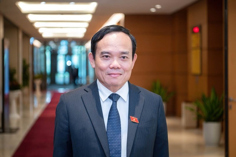 hai-tan-pho-thu-tuong-tran-hong-ha-tran-luu-quang-duoc-phan-cong-nhiem-vu-gi-20230116110207-3808.jpg
