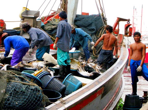 thai-fishing-industry-7460.jpg