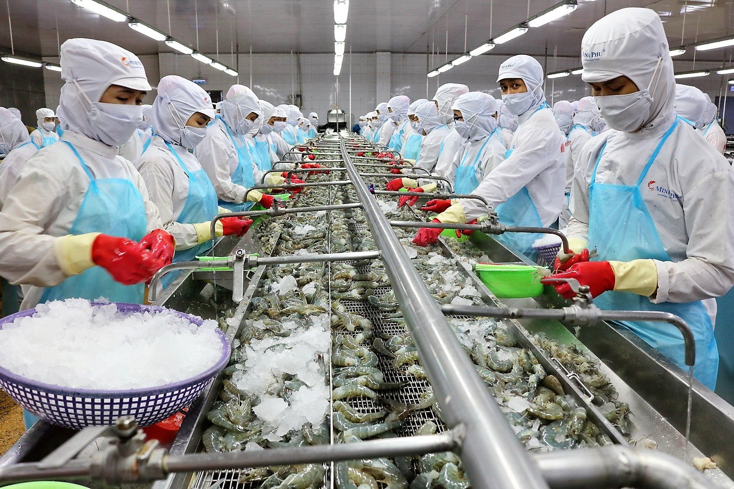 Đang lỗ gần 110 tỷ đồng, một tập đoàn hàng đầu Việt Nam vẫn 'gồng' 165 tỷ đồng chi cổ tức