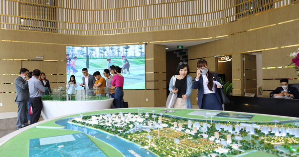 Lộ yếu tố "sống còn" khiến người giàu bỏ ra hàng chục tỉ đồng vào bất động sản triệu đô khu ven