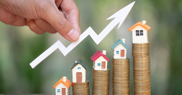 Xuất hiện tâm lý sợ lỡ mất cơ hội, người mua tranh thủ "rút hầu bao" cận Tết