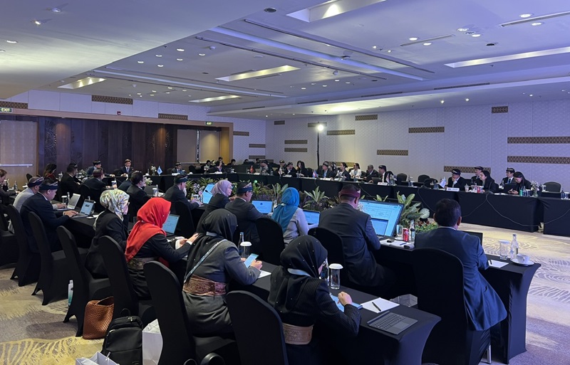 Hội thảo quy tụ đại biểu từ các cảng lớn tại Việt Nam, Brunei Daressalam, Campuchia, Myanmar, Indonesia, Philiphin,Sigapore và Thái Lan - Vietnam, Brunei, Cambodia, Myanmar, Indonesia, Phillippines, Singapore and Thailand port delegations attended the annual conference