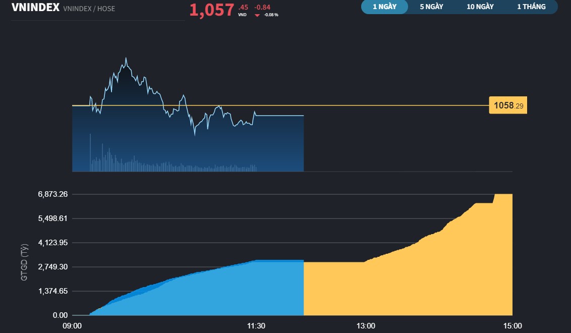 vnindex172-262.jpg