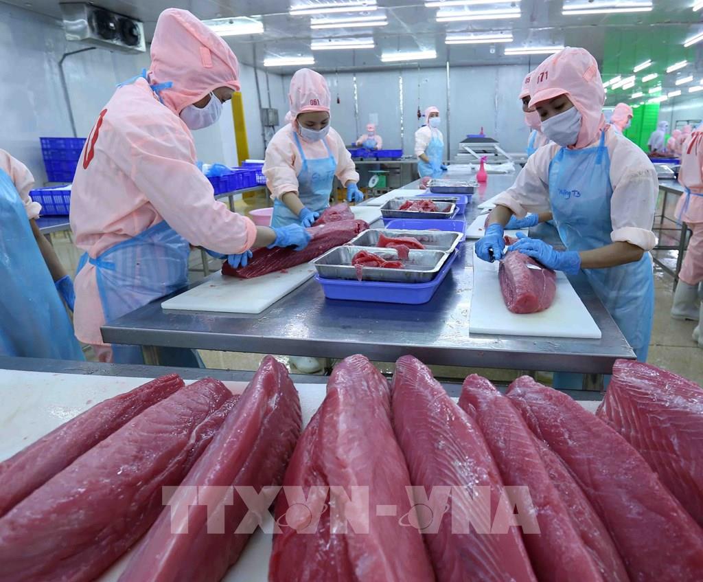 153521-cong-ty-co-phan-ba-hai-phu-yen-xuat-khau-duoc-hon-5-nghin-tan-san-pham-1342.jpg