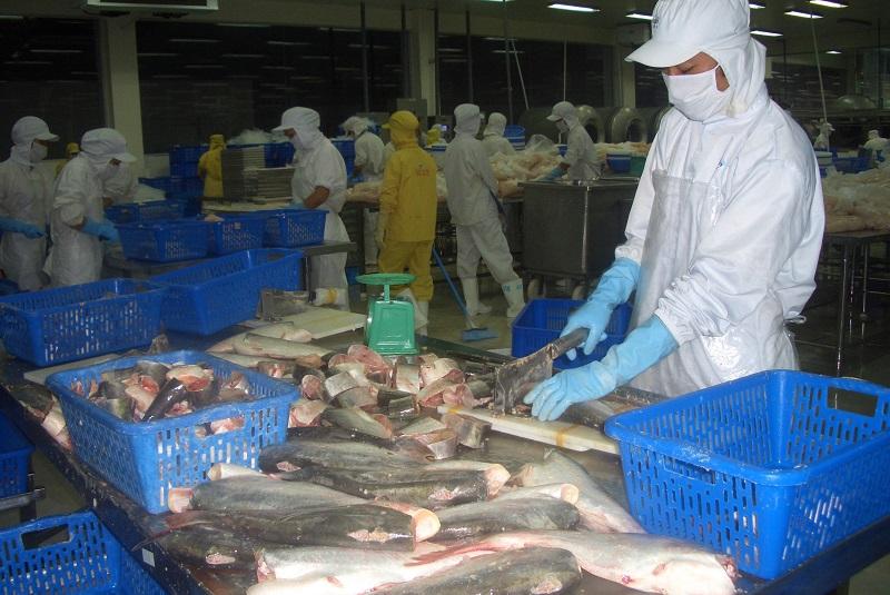 Sau con tôm, cá tra là mặt hàng rất được người dân Trung Quốc ưa chuộng