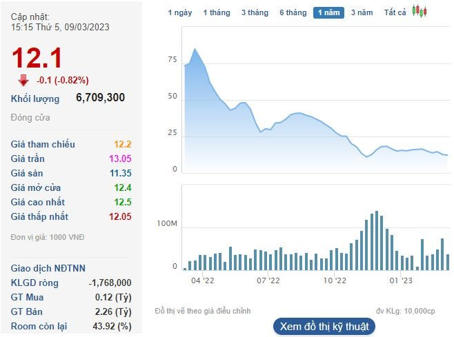cp1-8972.jpg