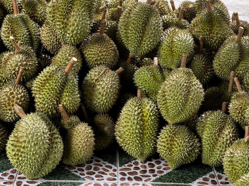 Trung Quốc chi hơn 4 tỷ USD để nhập khẩu sầu riêng mỗi năm.