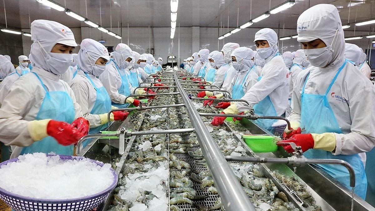 Xuất khẩu tôm trong năm 2023 dự báo sẽ gặp rất nhiều khó khăn (Ảnh minh họa)
