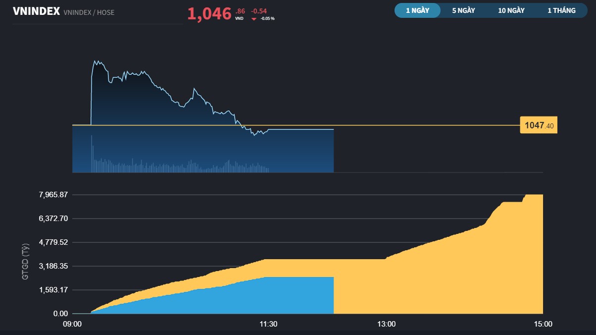 vnindex173a-4453.jpg