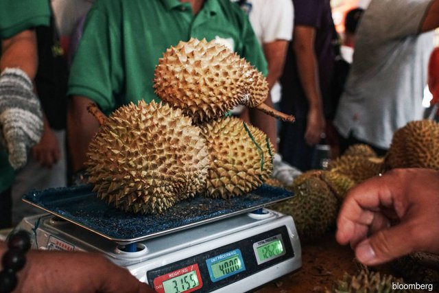 durian-malaysia-1-16792955854051795160556-7008.jpg