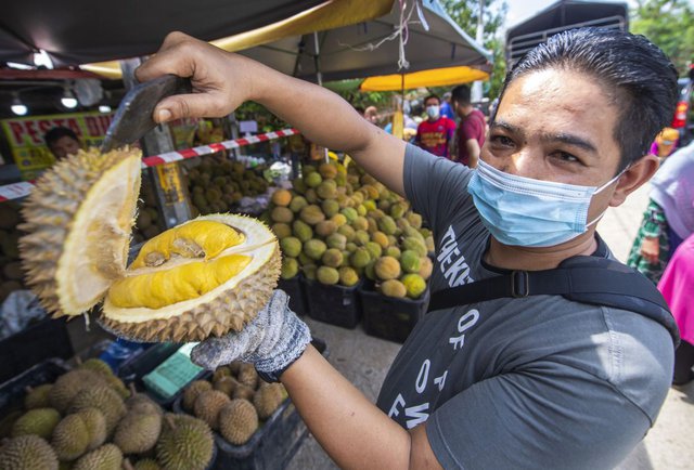 durian-malaysia-1679295525343888093777-7022.jpg