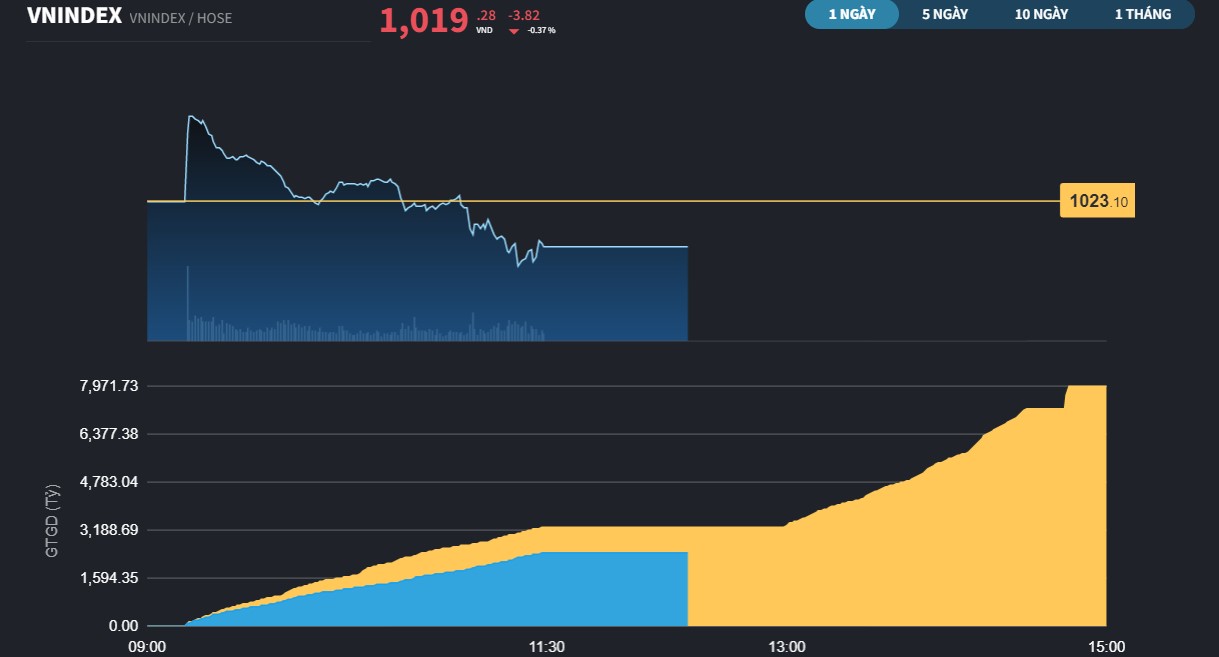 vnindex213a-1766.jpg
