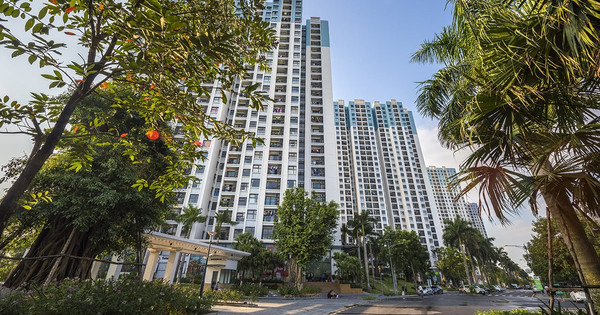 Thế hệ Millennials-Z đang và sẽ định hình trường bất động sản