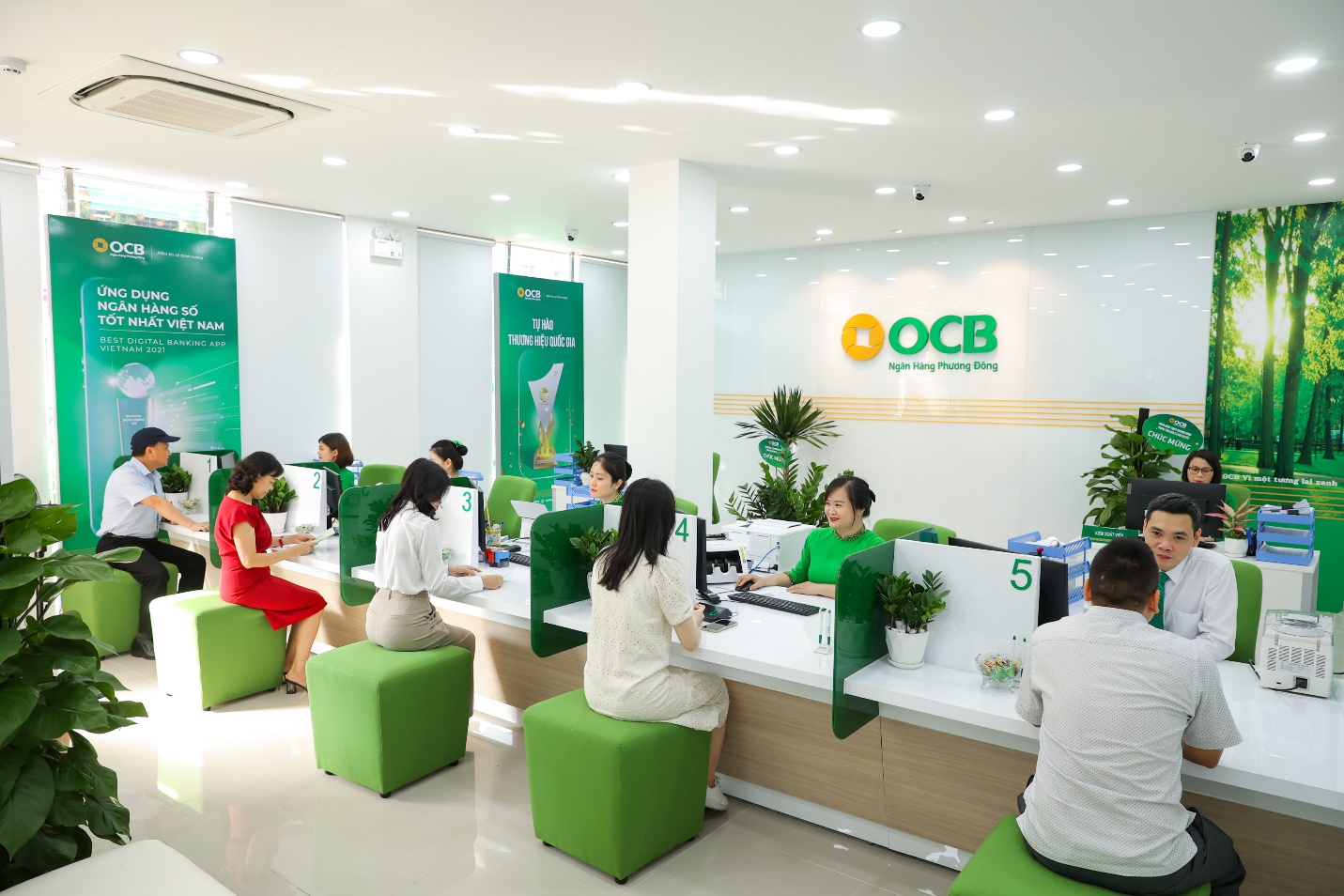 ocb-1071.jpg