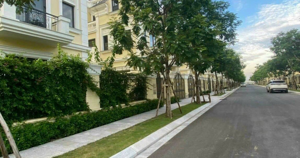 Nhà đầu tư đang "tháo chạy" khỏi phân khúc nhà liền thổ