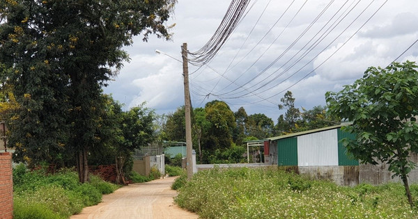 Gom đất nông nghiệp kỳ vọng tăng bằng lần, nhà đầu tư cay đắng nhận ra bài học khi cắt lỗ không ai mua