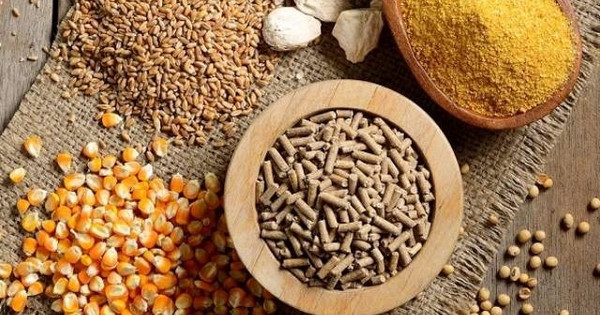 75% nguyên liệu nhập khẩu, giá lại tăng phi mã, Việt Nam tự chủ thức ăn chăn nuôi thế nào?