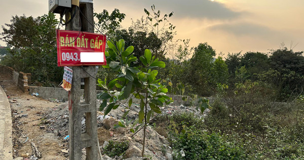 Chủ đất "ngao ngán" khi bị người mua ép giá: "Không bán tôi chốt mua lô khác ngay"