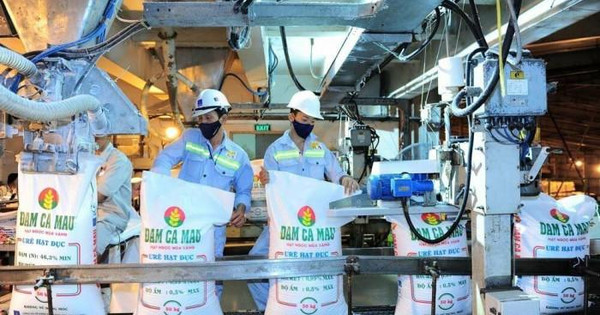 Đạm Cà Mau và Đạm Phú Mỹ đang hoạt động thế nào trước đề xuất ngừng toàn bộ nhà máy nhường khí cho sản xuất điện