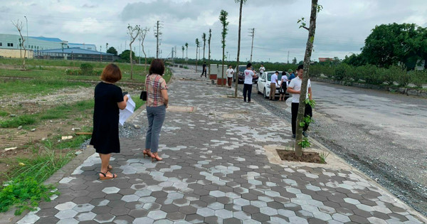 Đất đấu giá Đông Anh hết thời lập đỉnh 100 triệu đồng/m2, nay giá trúng chỉ hơn 20 triệu đồng/m2