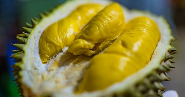 Trung Quốc ăn sầu riêng "nhà trồng" vào tháng 6 - Thái Lan, Việt Nam, Malaysia có sợ mất thị trường xuất khẩu tỷ USD?