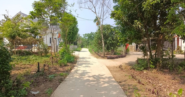 Nữ nhân viên văn phòng quanh năm gồng nợ gốc lãi ngân hàng: "Càng vay, tôi càng có nhiều bất động sản"
