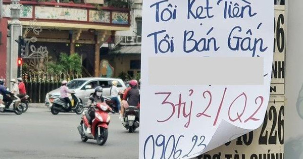 Sự thật về những thông tin "bán cắt lỗ" đất nền rầm rộ tại khắp nơi