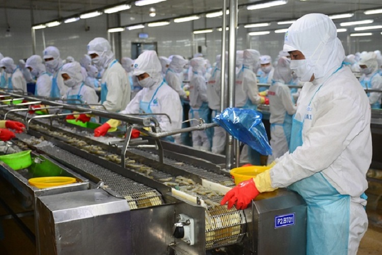 4 tháng đầu năm 2023, xuất khẩu tôm chỉ đạt 887 triệu USD, giảm 36% so với cùng kỳ, đang đe dọa mục tiêu kim ngạch xuất khẩu 4,3 tỷ USD của ngành hàng