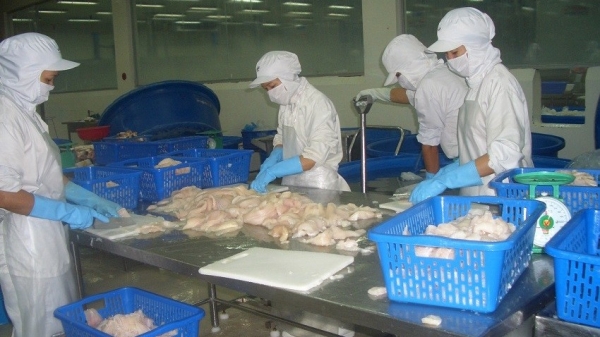 Xuất khẩu thủy sản giảm sâu: Giải pháp nào vượt qua khó khăn?