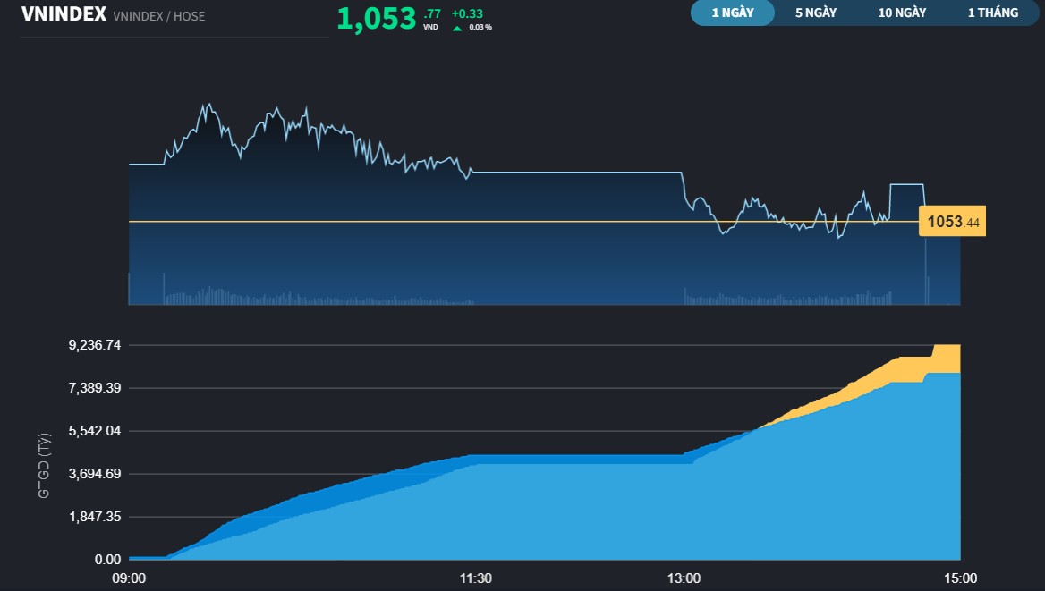 vnindex95a-6077.jpg