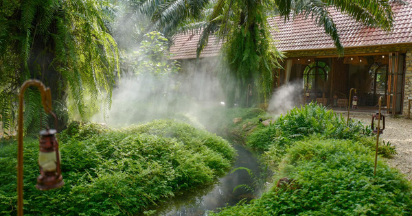 Cuộc tháo chạy khỏi homestay của "nhà giàu": Lo sợ thanh tra đất rừng, đất nông nghiệp và những thương vụ rao bán ngầm