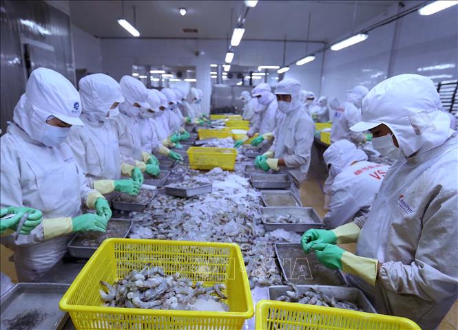 Ngành thuỷ sản đối mặt với nhiều khó khăn