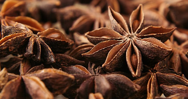 Việt Nam nắm trong tay gia vị quý báu, xuất khẩu tăng hơn 200% 5 tháng đầu năm, Ấn Độ và Trung Quốc mạnh tay thu mua