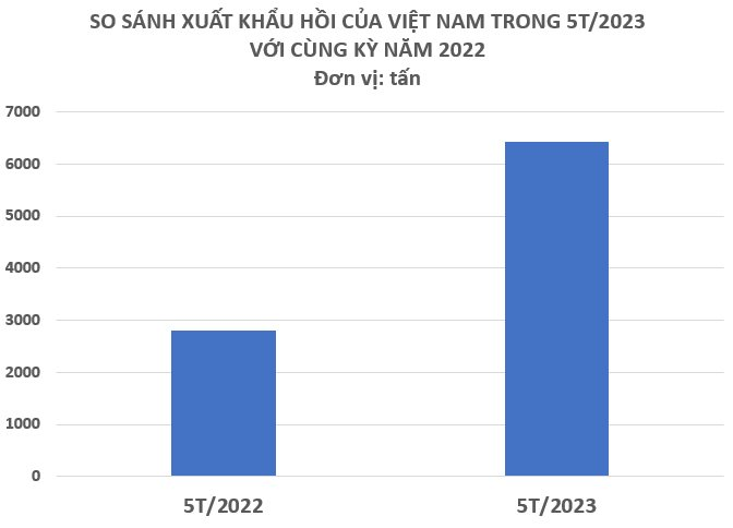 ct1-4677.png