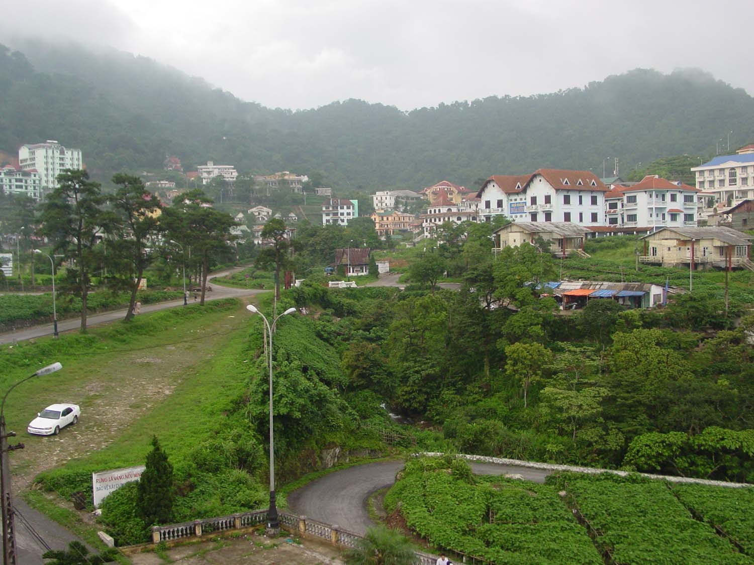 Dự án Tam Đảo 2 nằm trong rừng của vườn Quốc gia Tam Đảo (Ảnh minh hoạ)